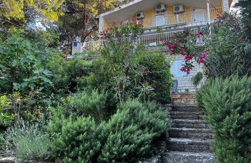Donji Karin Apartment | Apartmani Lidija Karin Donji