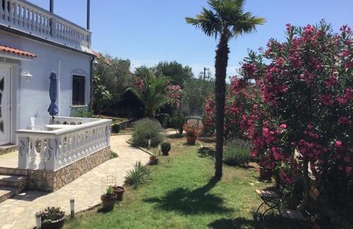Zdrelac Apartment | Apartmani Misic