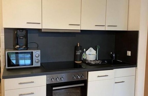 Ludwigshafen Apartment | Apartment with swimming pool
