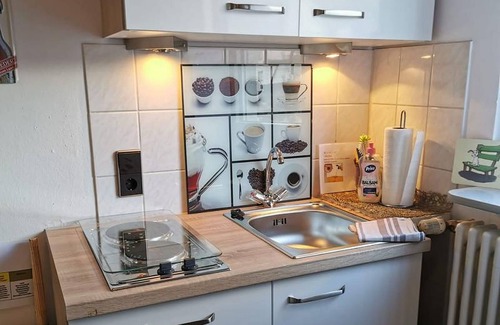 Radolfzell am Bodensee Apartment | Apartment 'Seeliebe' with Lake View, Shared Terrace and Wi-Fi