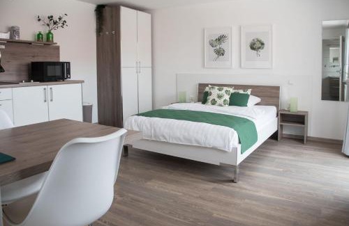 Igersheim Apartment | Apartment 12