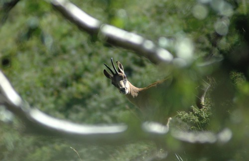 Luz-Saint-Sauveur Apartment | Apartment 2/3 pers- Quartier Thermal - Luz Saint-Sauveur
