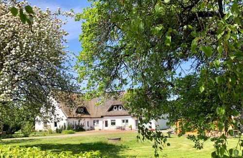 Trent Apartment | apartment 2 - Kwijas Holiday Farm