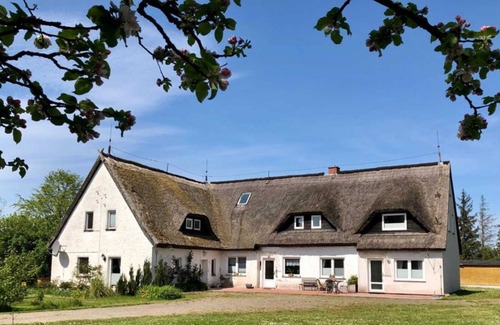 Trent Apartment | apartment 2 - Kwijas Holiday Farm
