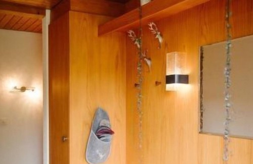 Frutigen Apartment | Apartment Alba in Frutigen - 4 persons, 1 bedrooms