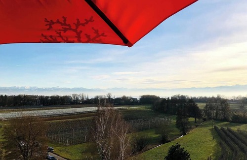 Kressbronn Apartment | Apartment Alina - Penthouse apartment with breathtaking views of Lake Constance
