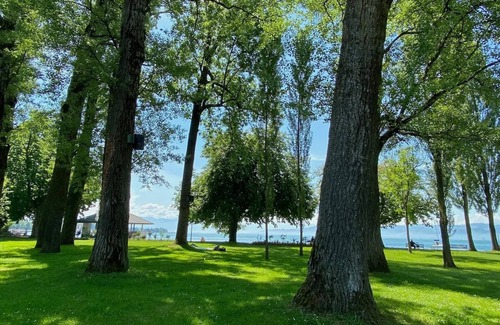 Kressbronn Apartment | Apartment Alina - Penthouse apartment with breathtaking views of Lake Constance