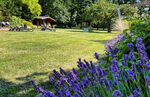 Westermarkelsdorf Apartment | Apartment/apartment for 4 guests with 55m² in Fehmarn (130862)