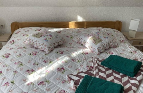 Altenberg Bed & Breakfast | Apartment/apartment, shower and bath, WC, mountain side - Pension ZUR 23