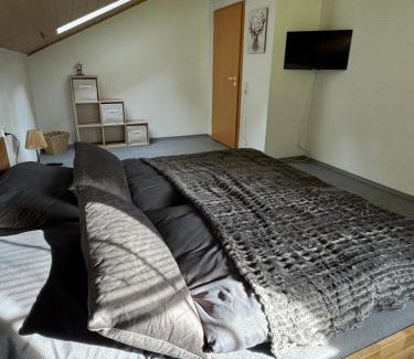 Ulrichstein Apartment | Apartment Auszeit