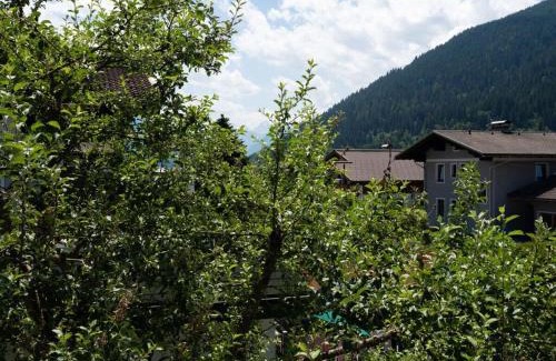 Eben im Pongau House | Apartment Bär Comfortable holiday residence