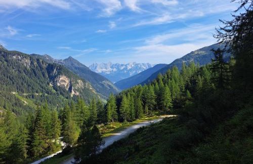 Forstau Apartment | Apartment Bachweg