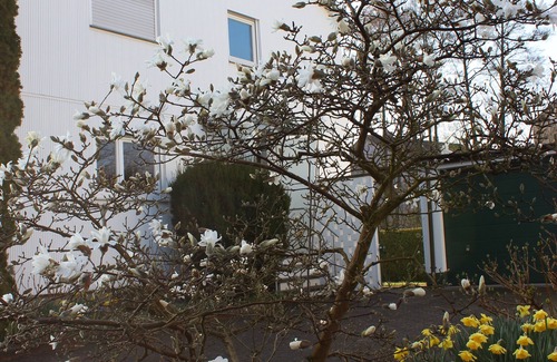 Appenweier Apartment | Apartment behind the mill