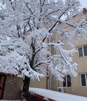 Sighnaghi Apartment | Apartment Chavchavadze 5