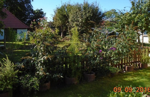 Bannesdorf Apartment | Apartment / app. for 2 guests with 34m² in Fehmarn OT Bannesdorf (16546)