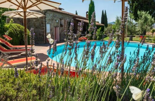 Campagnatico Apartment | Apartment Edera in Campagnatico - 3 persons, 1 bedrooms