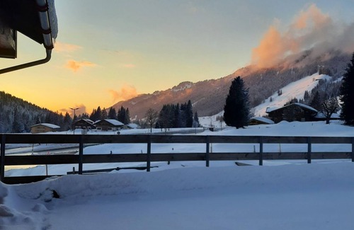 Balderschwang Apartment | Apartment Enzian - Almhof Lässer