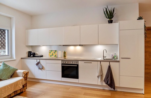 Mayrhofen Apartment | Apartment 'Ferienwohnung Brandbergblick' with Wi-Fi