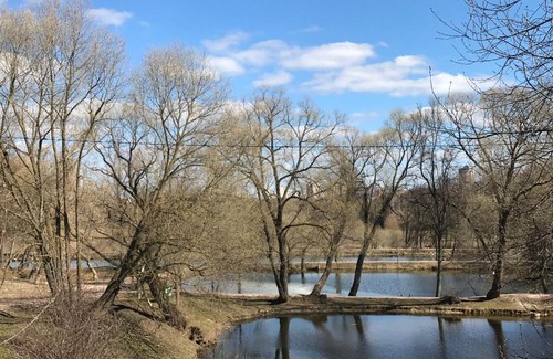 Chekhov Apartment | Apartment First