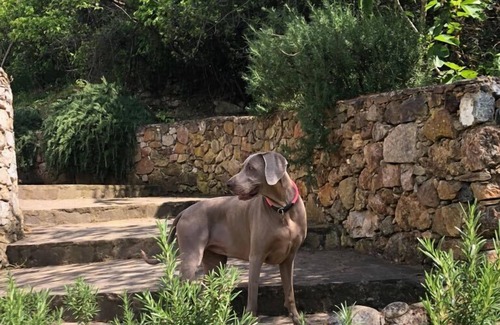 Rio Villa | Apartment/flat - Rio marina