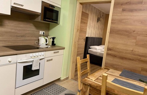 Sankt Oswald Apartment | Apartment/flat, shower, WC, river view - Nockalm Cottage