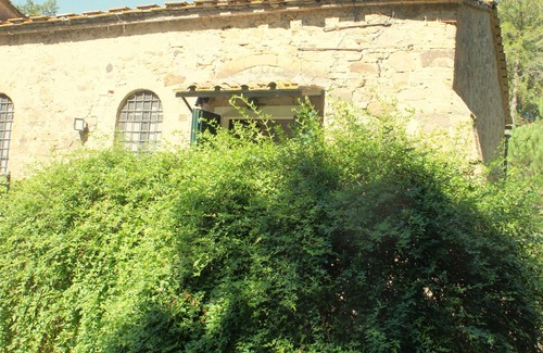 Grosseto Apartment | Apartment Folletto in a magical corner of the Maremma Toscana