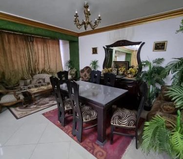 Taqseem Laselky Apartment | Apartment for Rent in Degla Maadi