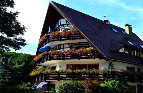 Sasbachwalden Apartment | Apartment 'Goldammer' with Mountain View, Shared Terrace and Wi-Fi