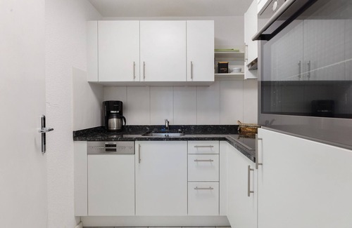 Waldshut-Tiengen Apartment | Apartment 'Grenze' with Shared Terrace and Wi-Fi