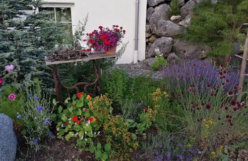 Oberreute Apartment | Apartment 'Harmonie' with Shared Garden and Wi-Fi