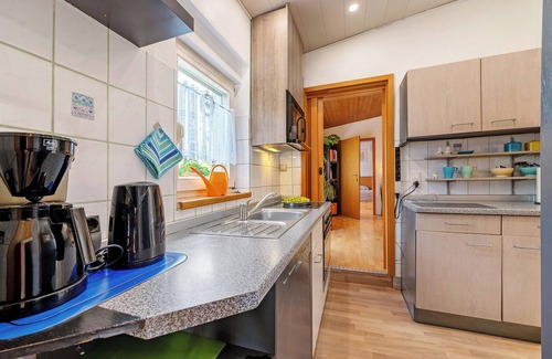 Kaiserslautern Apartment | Apartment 'Horn' with Shared Terrace, Shared Garden and Wi-Fi