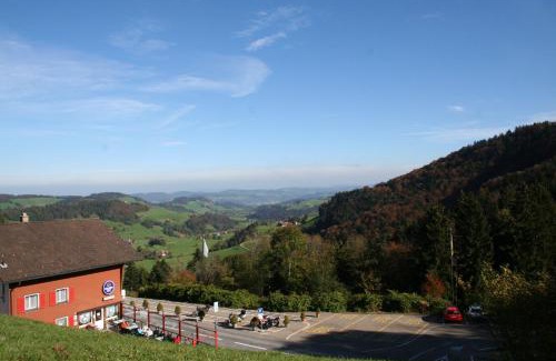 Mosnang Apartment | Apartment Hulfteggpass