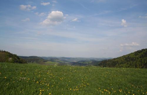 Mosnang Apartment | Apartment Hulfteggpass