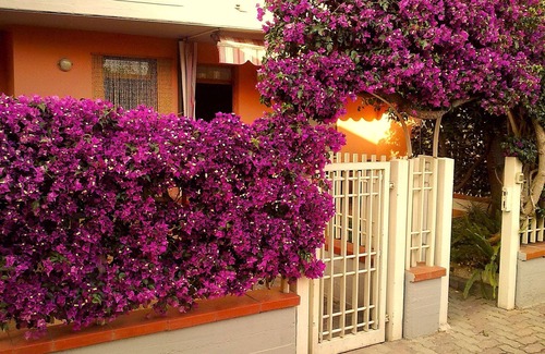 Porto Azzurro Apartment | Apartment 'Il Giardinetto' with Private Terrace and Private Garden