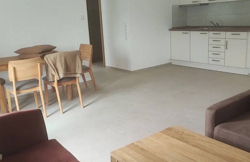 Weissenstein Apartment | Apartment in A Hotel 'Einhorn' with Mountain View, Shared Terrace and Wi-Fi