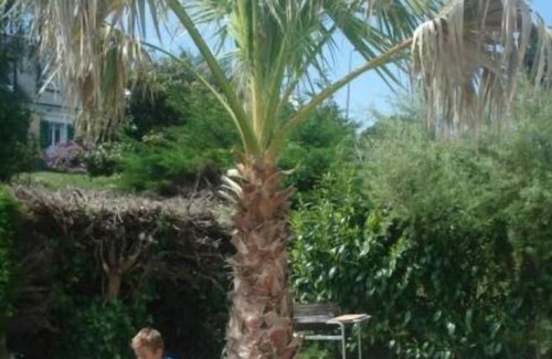 Sauzon Apartment | Apartment in a house with garden 150m from the port of Sauzon