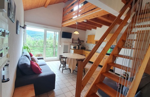 Gerardmer Apartment | Apartment in chalet, swimming pool, sleeps 6, lake proximity, Gérardmer