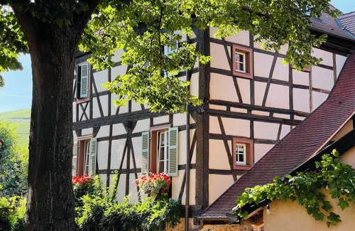 Turckheim Apartment | Apartment in historic Alsatian house, village center