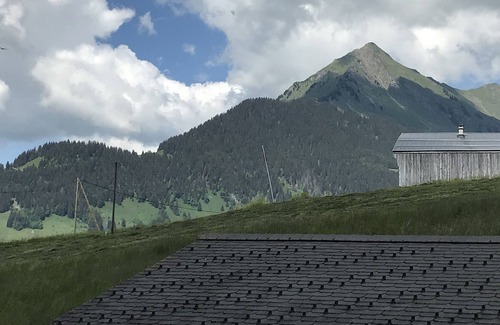 Ormont-Dessous House | Apartment in semi-detached chalet