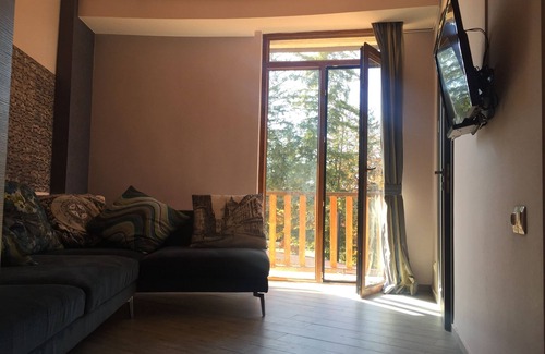 Bakuriani Apartment | Apartment in the Woods