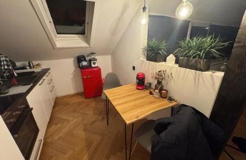 Andernach Apartment | Apartment inklusiver großer Terrasse