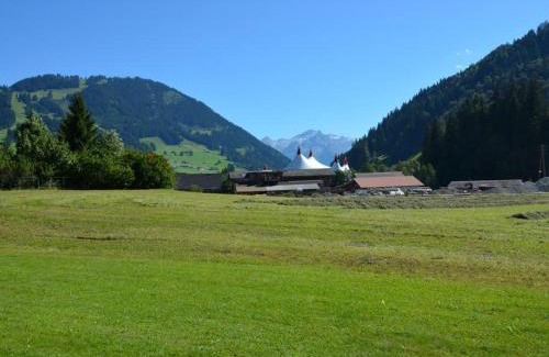 Zweisimmen Nr Gstaad Apartment | Apartment Jacqueline 22 by Interhome