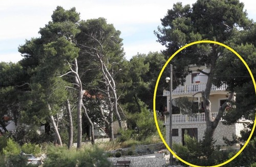 Veli Rat Apartment | Apartment Josef - seaview A1(6+2) veliki - Veli Rat, Island Dugi otok, Croatia