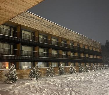 Bakuriani Apartment | Apartment Kokhta-Mitarbi Resort 2, 3, 14