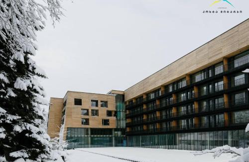 Bakuriani Apartment | Apartment Kokhta-Mitarbi Resort 2, 3, 14