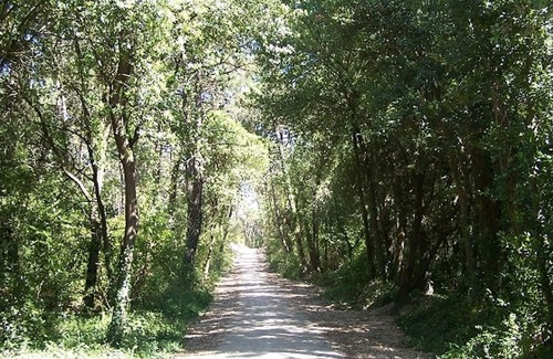 Fromentine Apartment | Apartment La Barre-de-Monts, 1 bedroom, 4 people