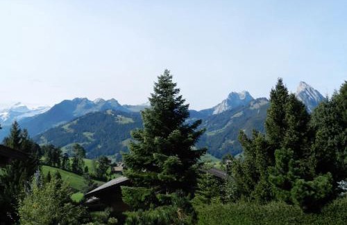 Schoenried Apartment | Apartment Les Hivernants - 1- Stock rechts by Interhome