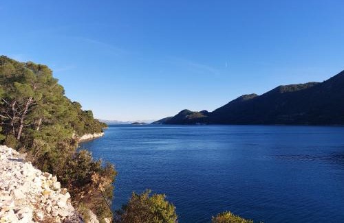 Sobra Apartment | Apartment Marija Mljet 4