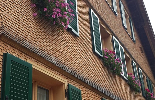 Mellau Apartment | Apartment 'Mittagspitz' with Shared Garden and Wi-Fi
