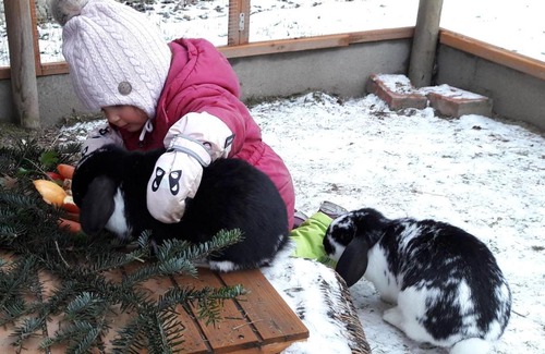 Bischofshofen Apartment | Apartment Moosberg